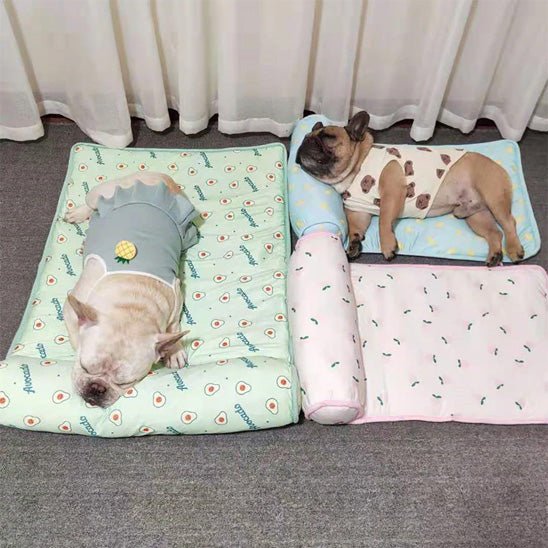 Tapis rafraichissant chien | PetitRouleau™️ - Bonheur de chien