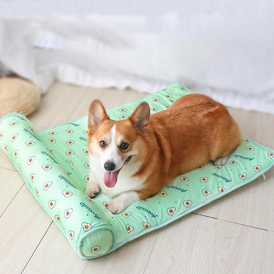 Tapis rafraichissant chien | PetitRouleau™️ - Bonheur de chien