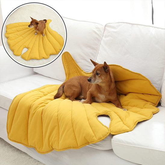 tapis rafraichissant pour chien divan blanc