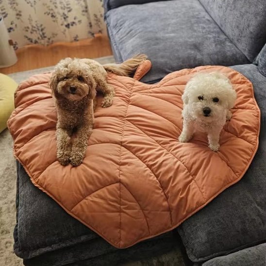 Tapis rafraichissant pour chien | Feuille d'automne™️ - Bonheur de chien