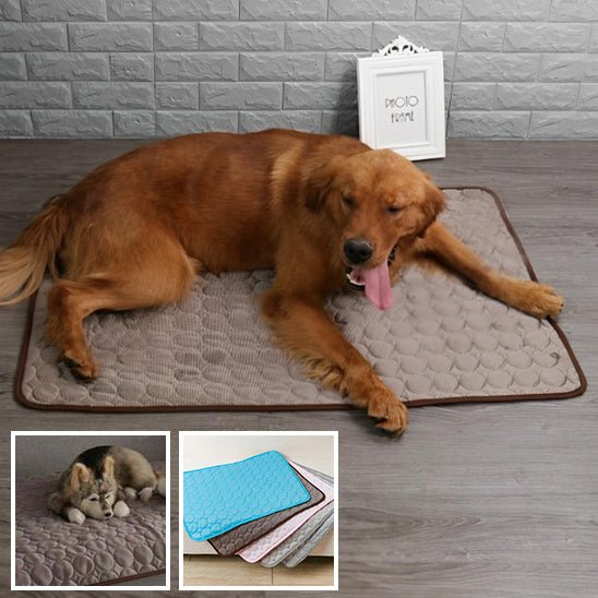 Tapis rafraichissant pour chien - Freshdog™️ - Bonheur de chien