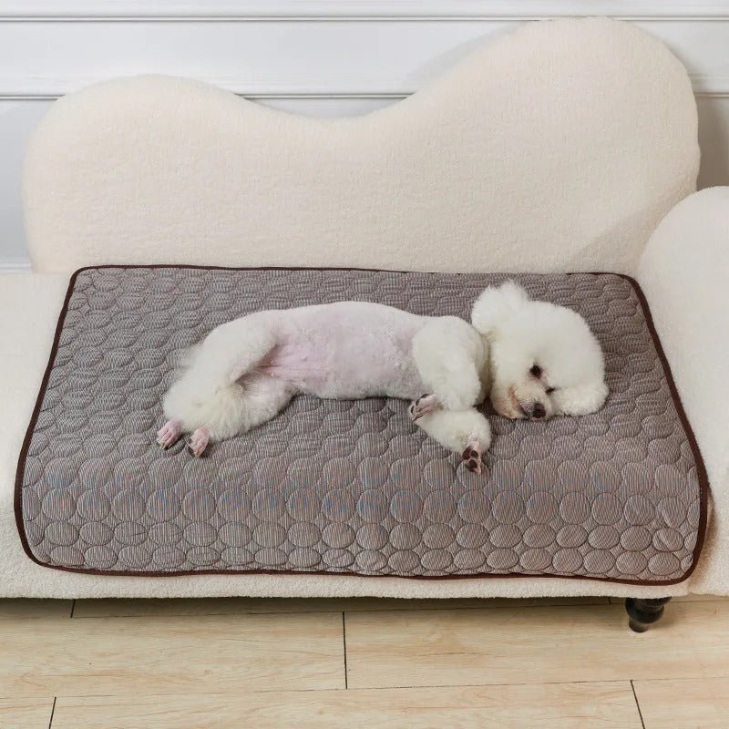 Tapis rafraichissant pour chien - Freshdog™️ - Bonheur de chien