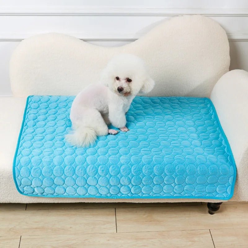 Tapis rafraichissant pour chien - Freshdog™️ - Bonheur de chien