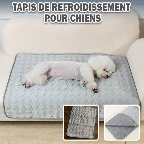 Tapis rafraichissant pour chien - Freshdog™️ - Bonheur de chien