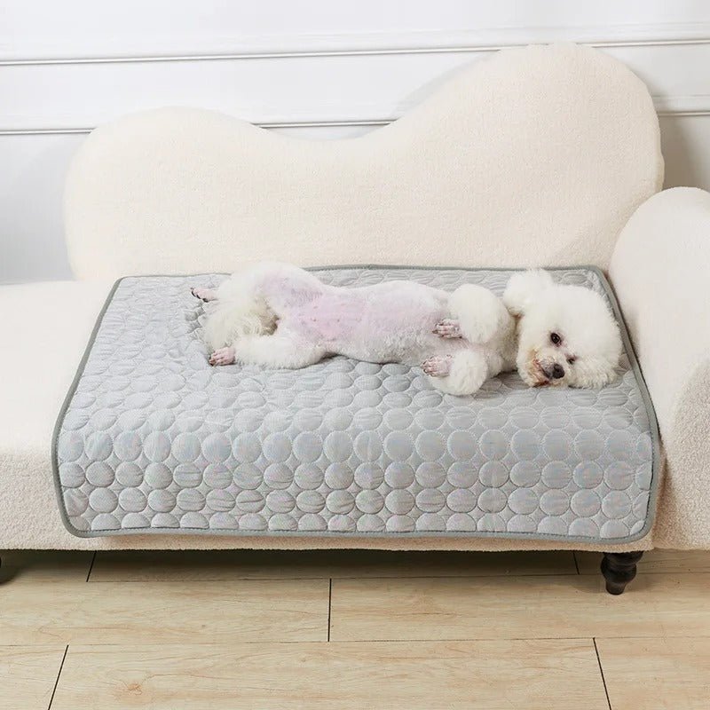 Tapis rafraichissant pour chien - Freshdog™️ - Bonheur de chien