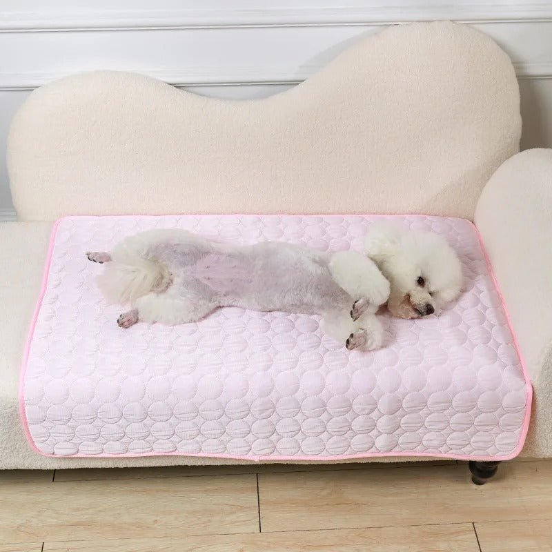 Tapis rafraichissant pour chien - Freshdog™️ - Bonheur de chien