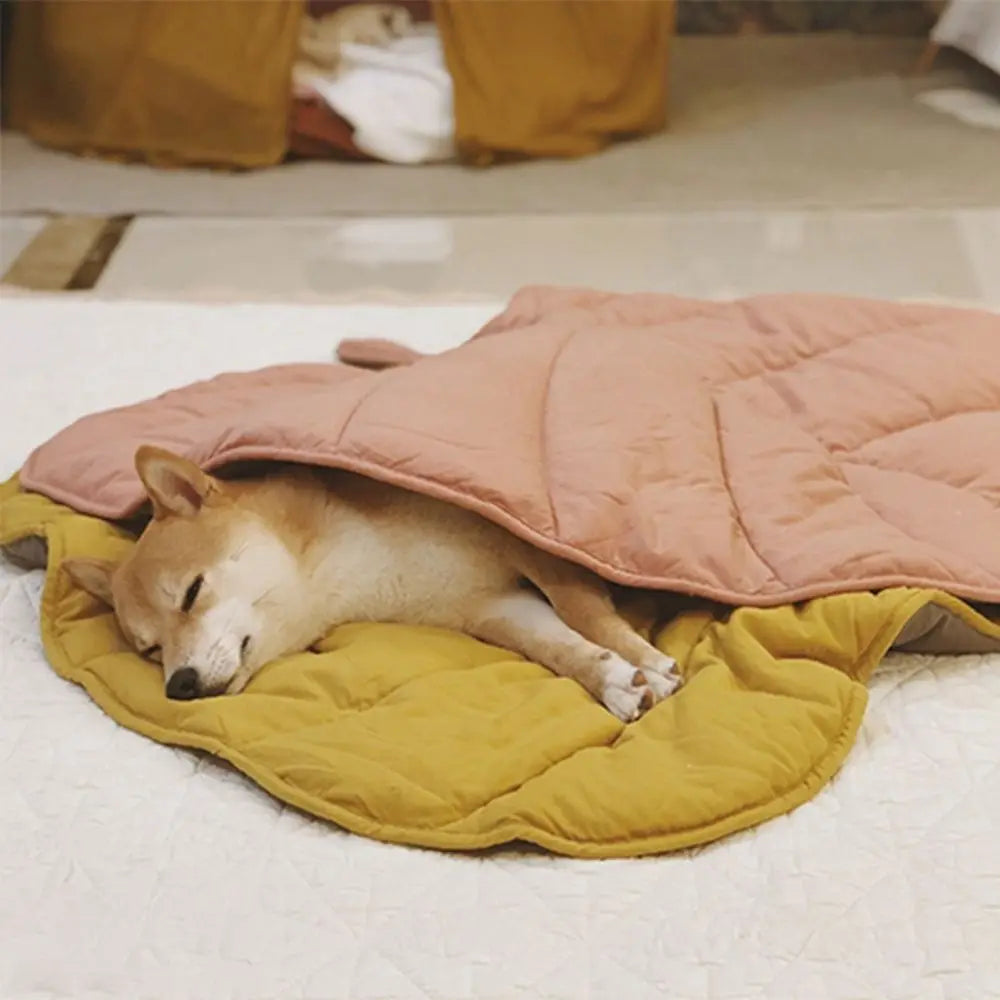 tapis rafraichissant pour chien inu dort