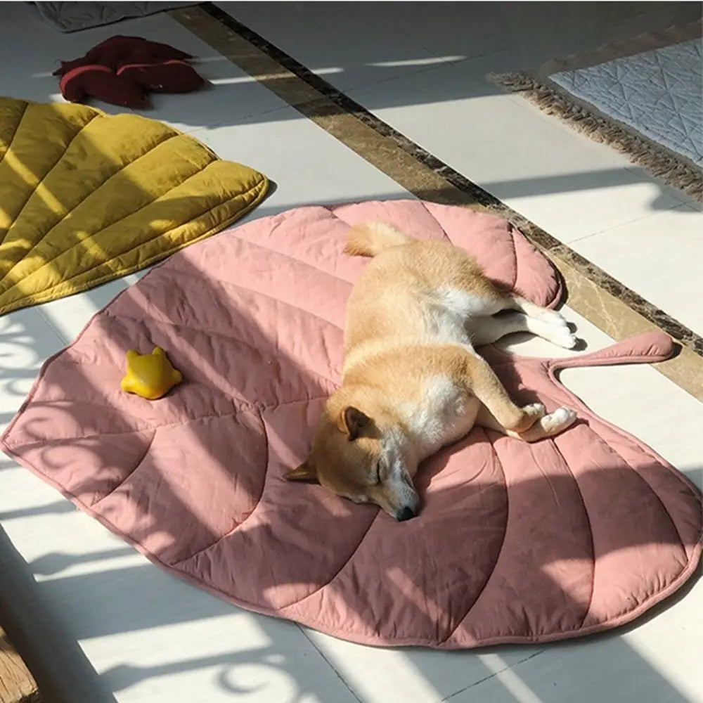 tapis rafraichissant pour chien inu