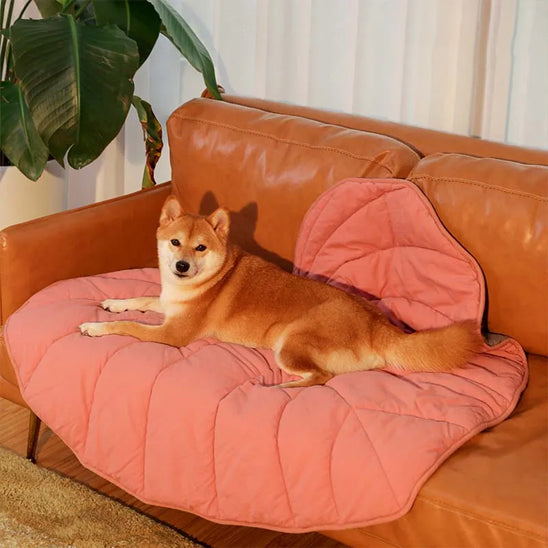 tapis rafraichissant pour chien orange