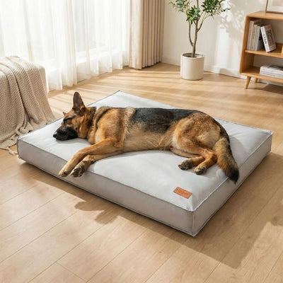 💤Paniers & lits pour chien