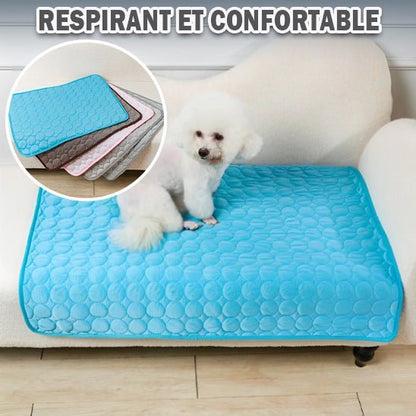 Tapis rafraichissant  avec chien blanc sur canapé et vignette multi couleurs