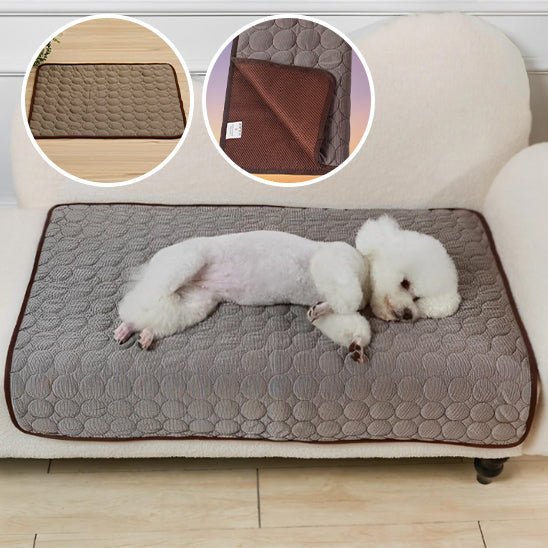 Tapis rafraichissant  avec chien blanc sur canapé  brun et vignette tapis brun