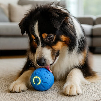 Balle pour chien | Ultra - résistante - Bonheur de chien