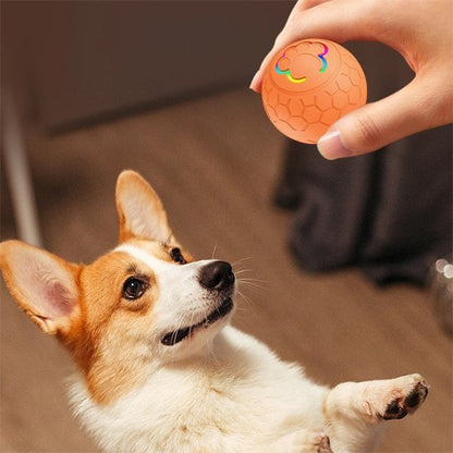 Balle pour chien | Ultra - résistante - Bonheur de chien