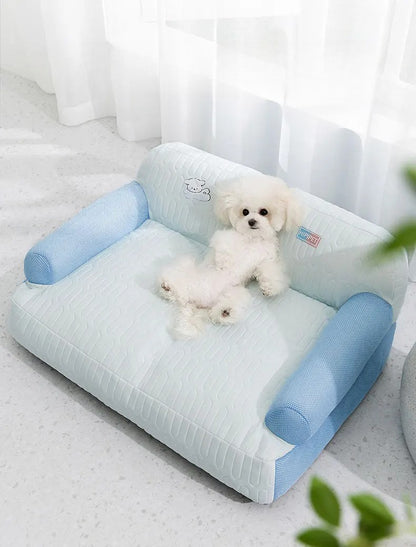 canape chien bleu rafraichissant