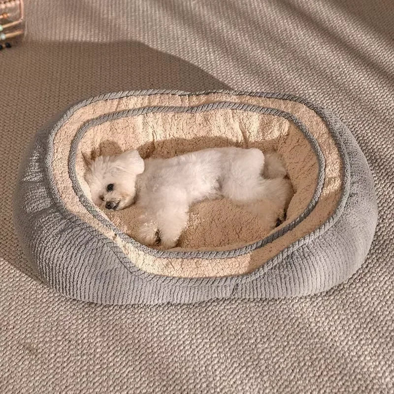 Canapé chien douceur avec petit caniche couché de tout son long