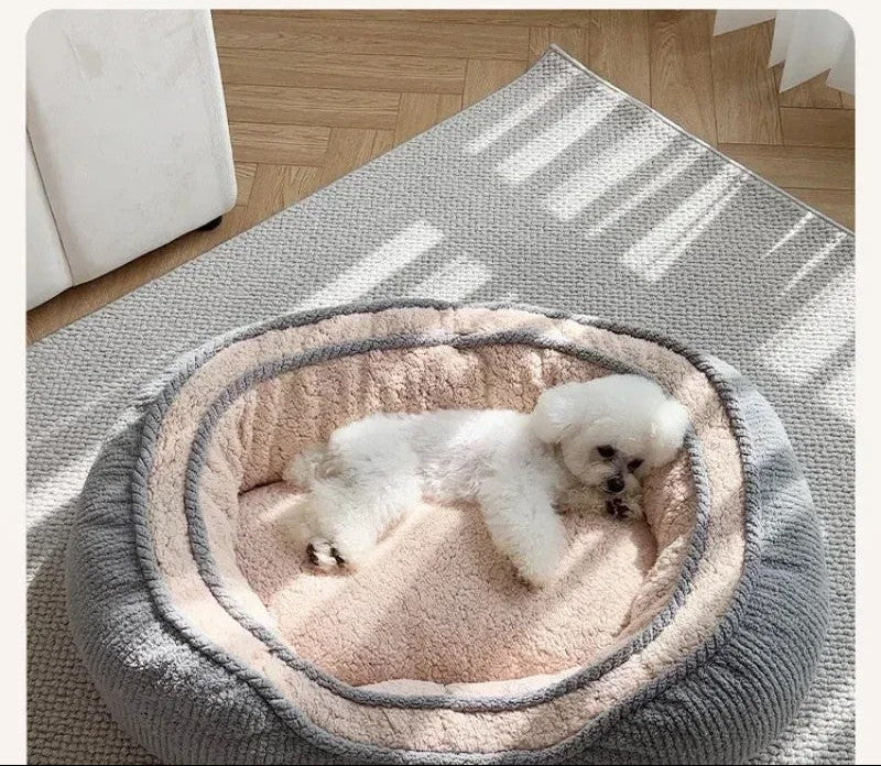 Canapé douceur pour chien sur tapis du salon