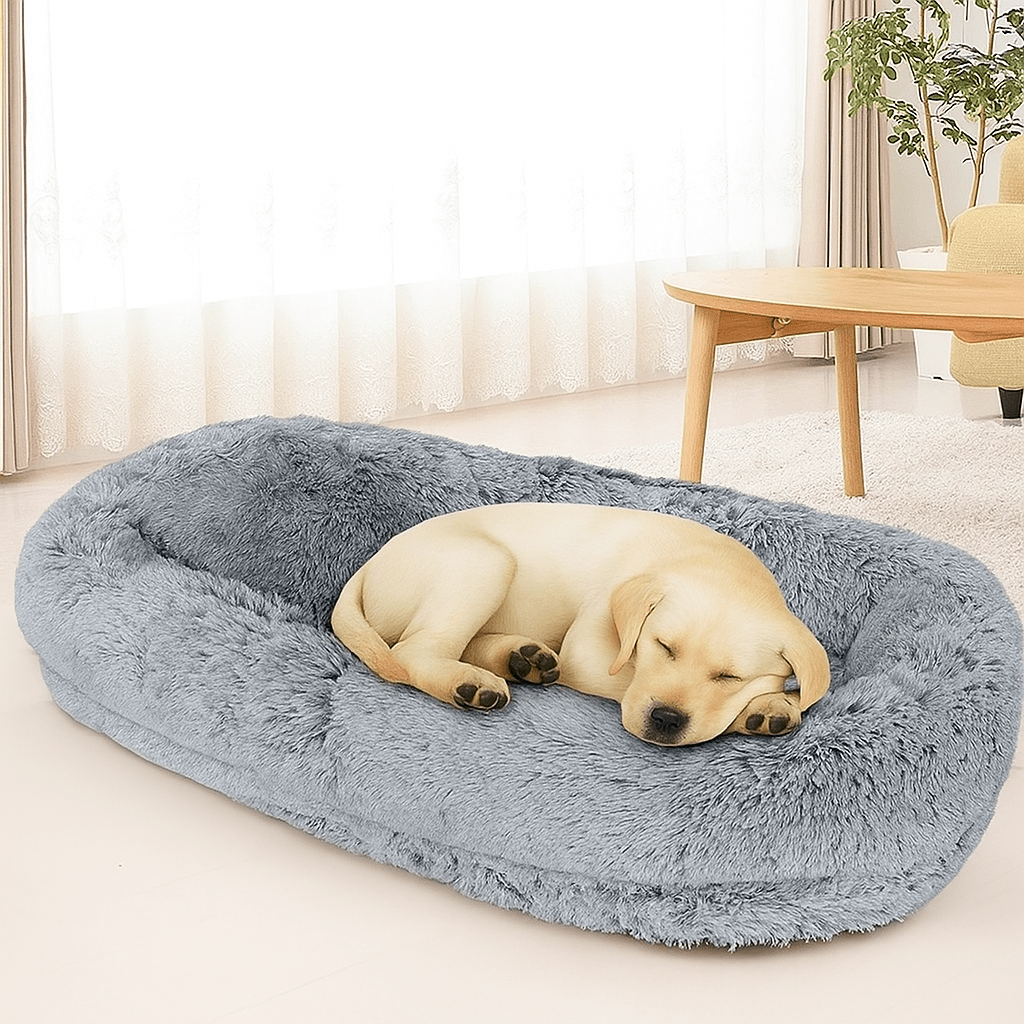 Canapé chien |QueenHumain™️ - Bonheur de chien