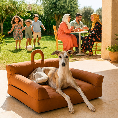 canape pour chien brun whippet