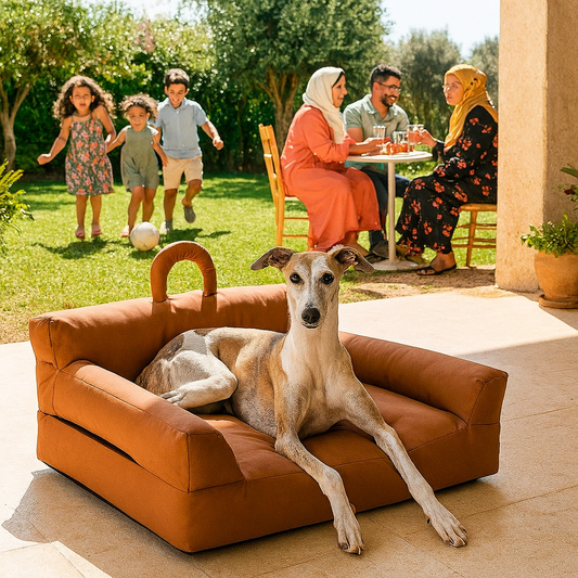 canape pour chien brun whippet