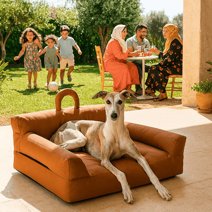 Canapé pour chien | Contemporain™️ - Bonheur de chien