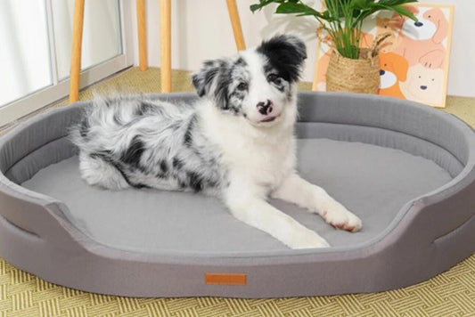 Canapé pour chien | DoggyLife™️