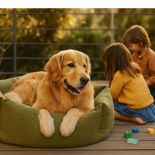 Canapé pour chien | Octogone™️ - Bonheur de chien