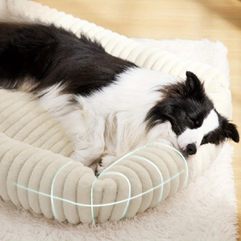 Canapé chien orthopédique mophologie
