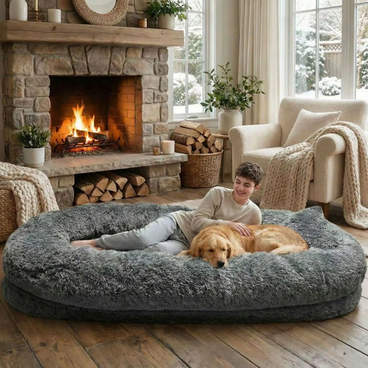 Canapé pour moi et mon humain Charly