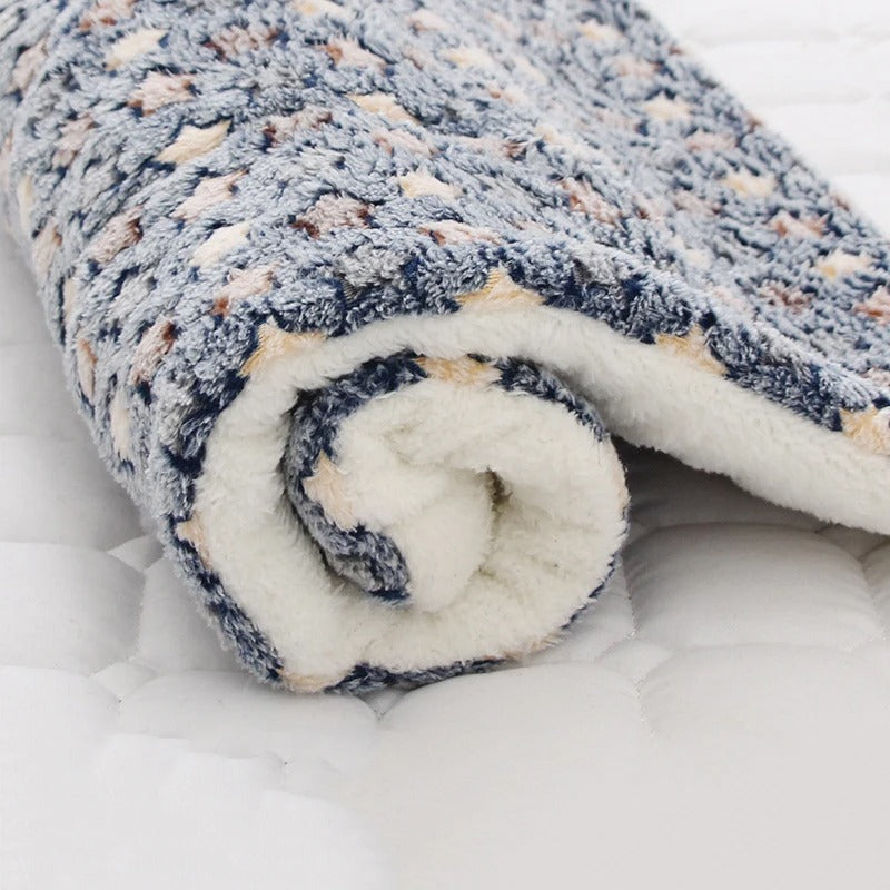 coussin chien blleu etoile