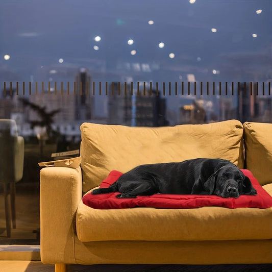 Coussin chien | DogCamp™️ - Bonheur de chien