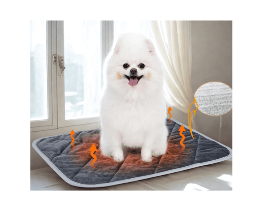 Coussin chien | DoggyHot™️ - Bonheur de chien