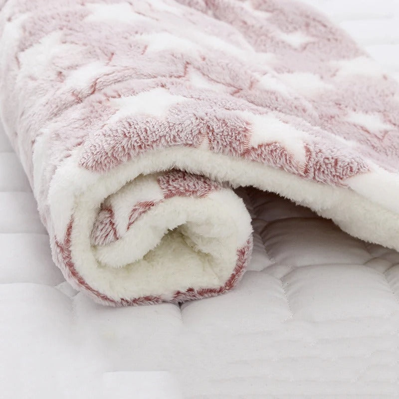 coussin chien etoiles