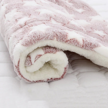 coussin chien etoiles