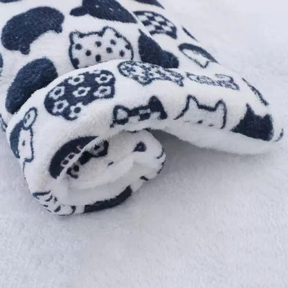 Coussin chien | L'Étoilé™️ - Bonheur de chien