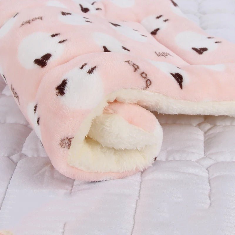 Coussin chien | L'Étoilé™️ - Bonheur de chien
