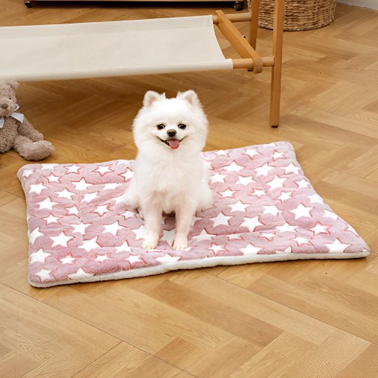 Coussin chien | L'Étoilé™️ - Bonheur de chien