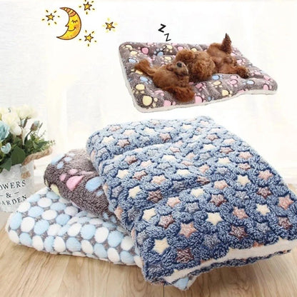 Coussin chien | L'Étoilé™️ - Bonheur de chien