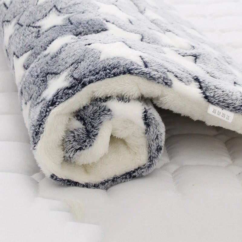 Coussin chien | L'Étoilé™️ - Bonheur de chien