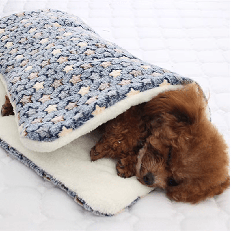 Coussin chien | L'Étoilé™️ - Bonheur de chien