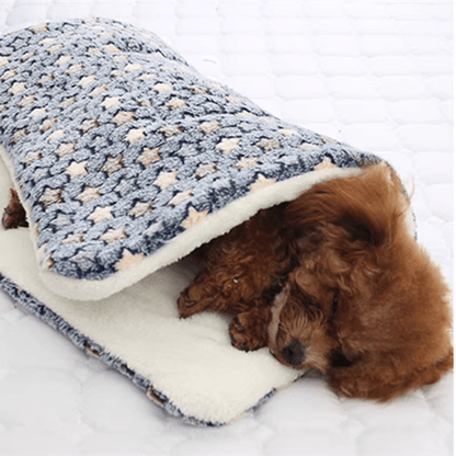 Coussin chien | L'Étoilé™️ - Bonheur de chien