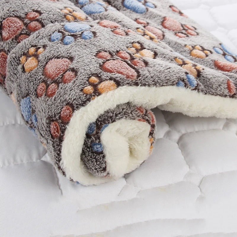 Coussin chien | L'Étoilé™️ - Bonheur de chien