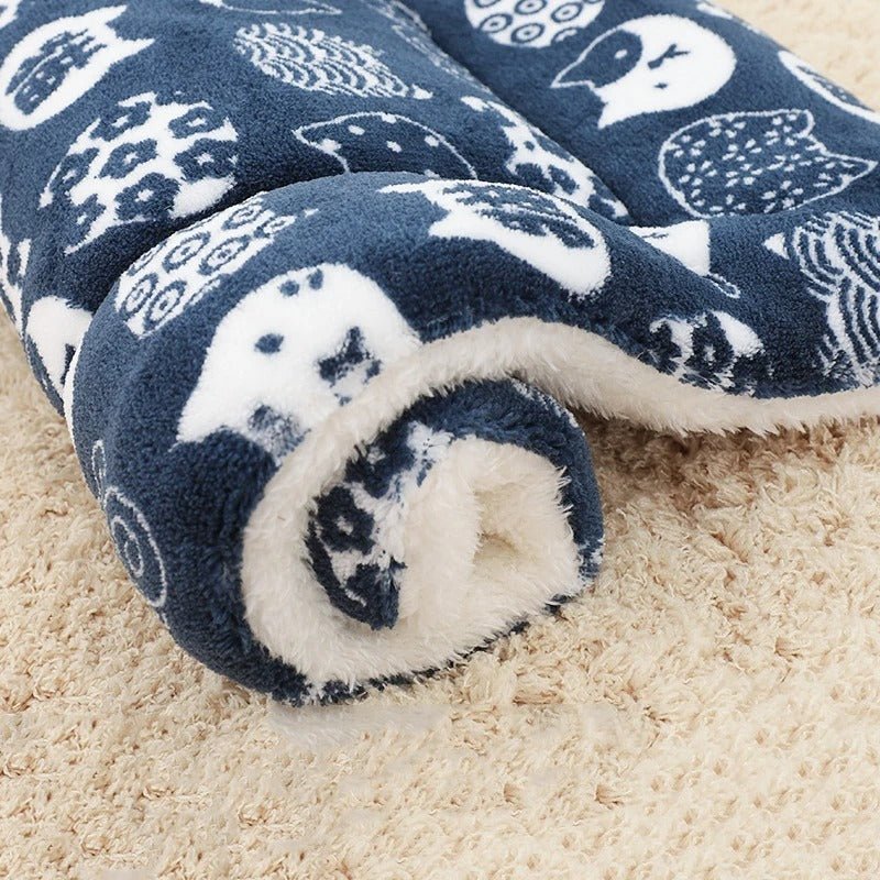 Coussin chien | L'Étoilé™️ - Bonheur de chien