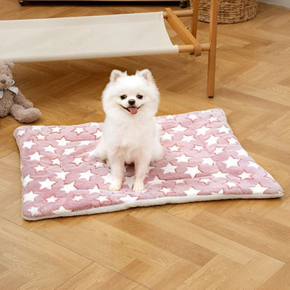 Coussin chien | L'Étoilé™️ - Bonheur de chien