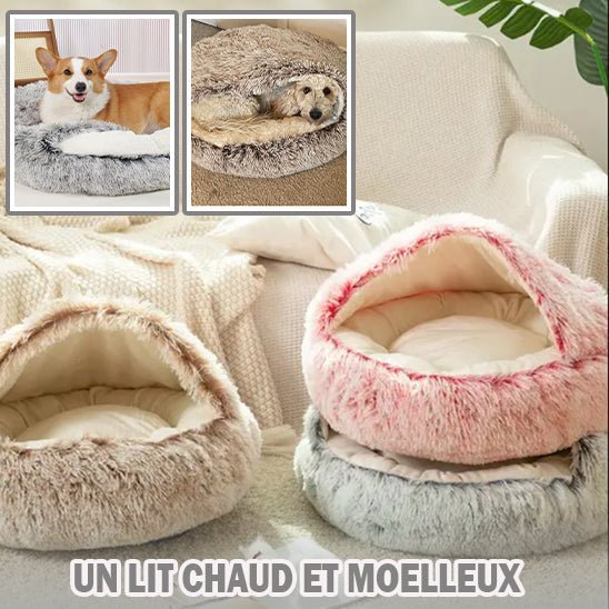 Coussin chien | Skeepy™️ - Bonheur de chien
