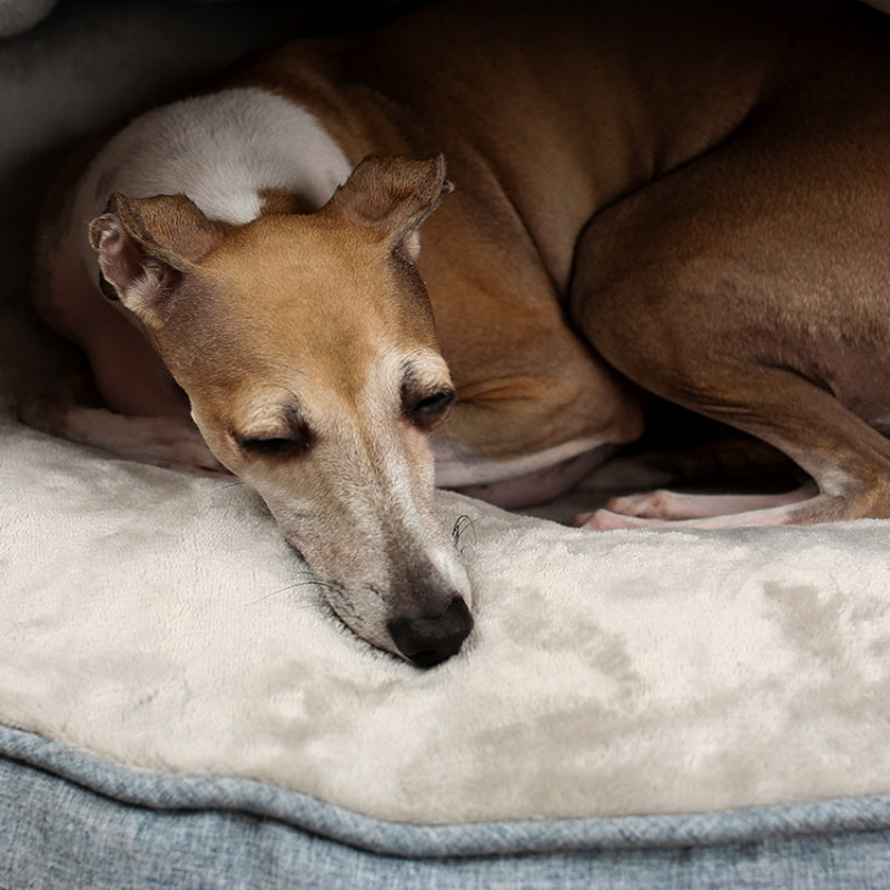 Coussin lit kangourou