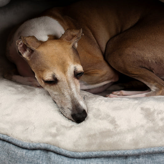 Coussin lit kangourou