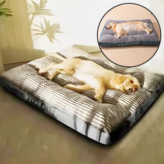 Coussin pour chien déhoussable | DoggyVIP™️ - Bonheur de chien