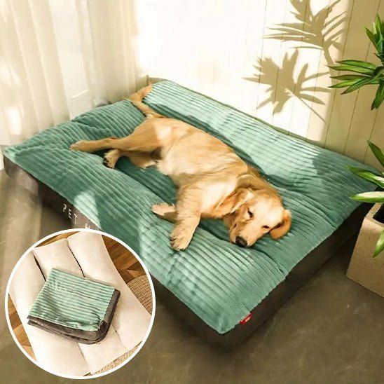 Coussin pour chien déhoussable | DoggyVIP™️ - Bonheur de chien