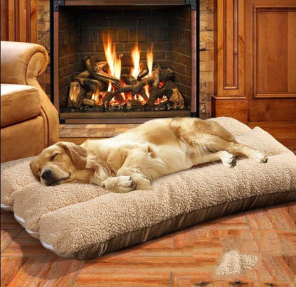 Coussin pour chien | Doggycloud™️ - Bonheur de chien